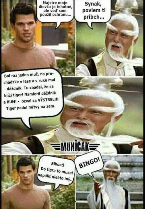 Rada od kung-fu majstra